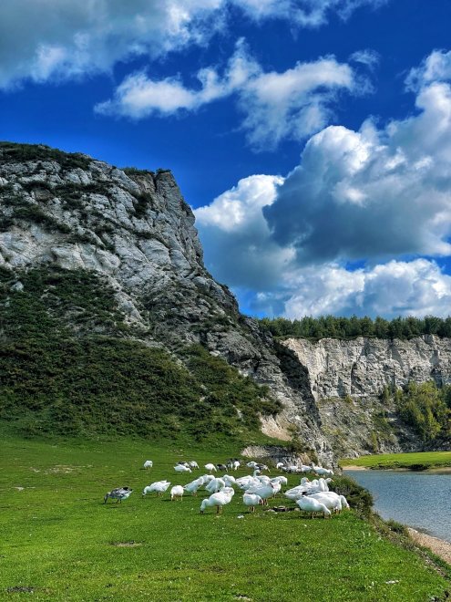 Край родной - Башкортостан -  