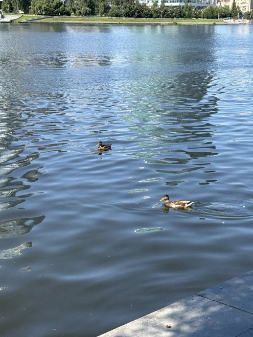 В Нижнем Тагиле - Наталья Горобцова