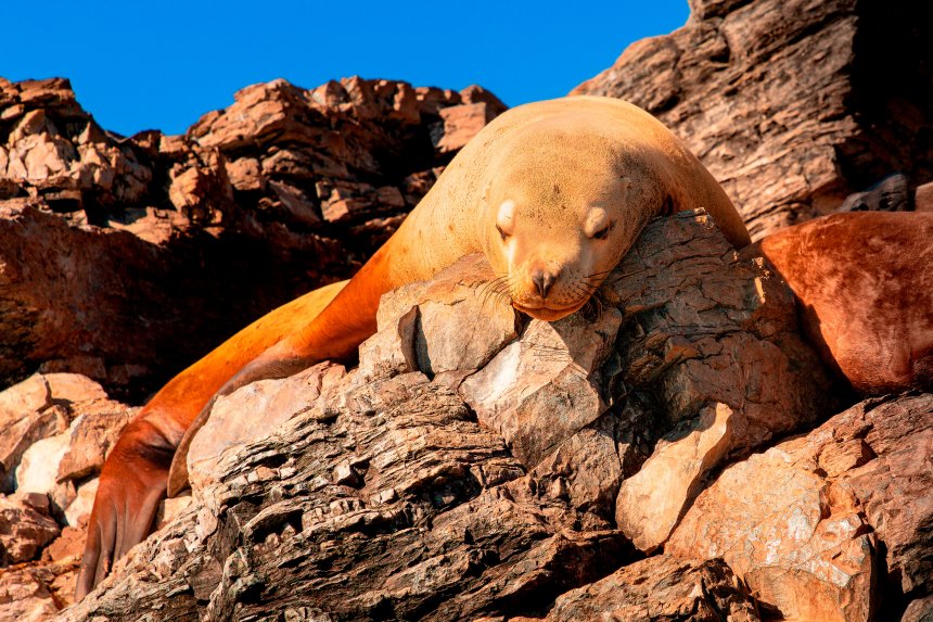 Солнечные ванны -  