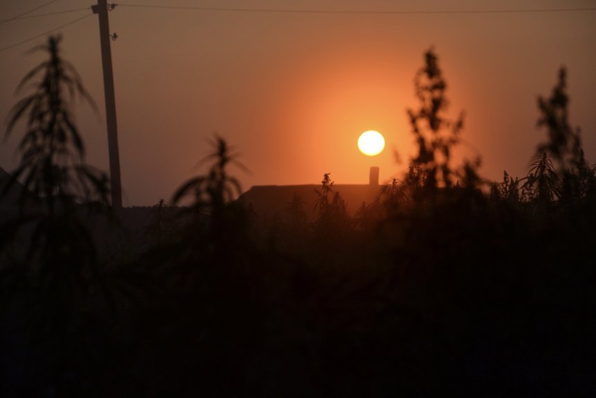 Загорелась зорька красная - Алина Алтынбаева