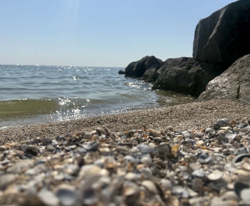 Азовское море -  