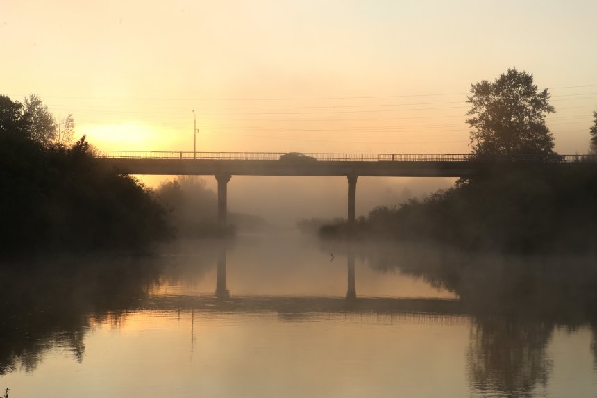 В предрассветный час -  