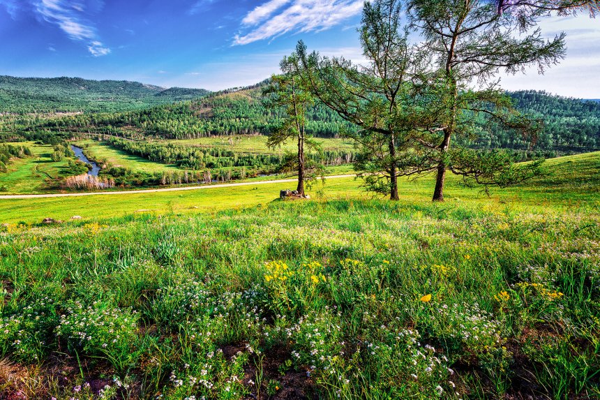 вид с сопки . -  