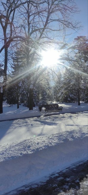 Мороз и солнце -  