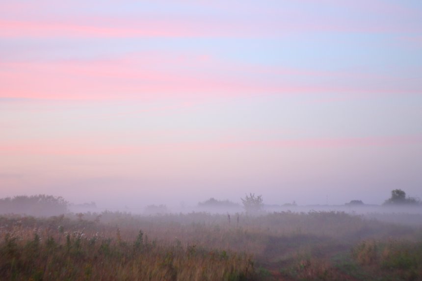 Рассвет. Туман. - Александра Анциперова