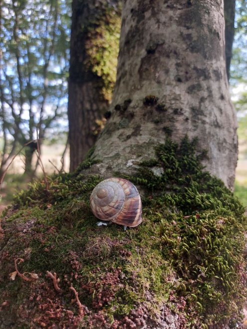 Крутой подъем - Ульяна Полянская