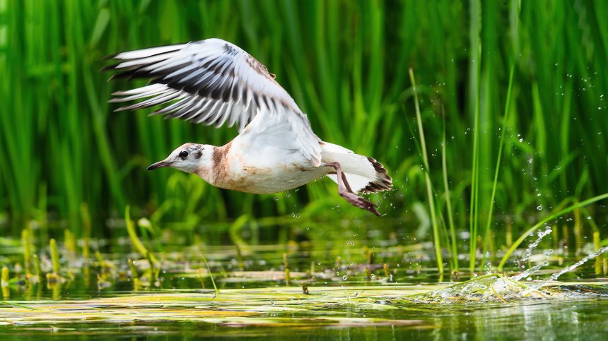 Ключ на старт - Сергей