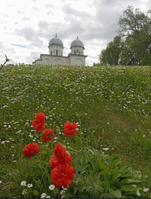 Юрьев Монастырь на реке Волхов -   (1/5)
