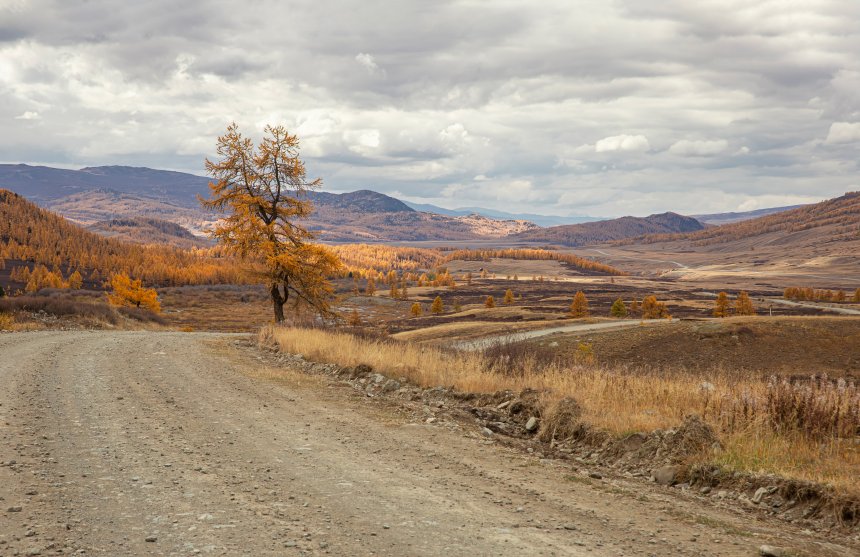 Долина реки Джазатор - Елена Павлова