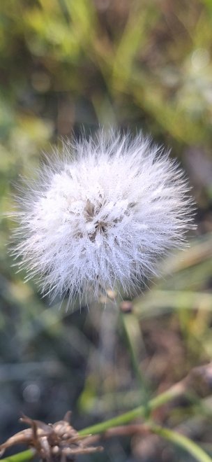 Облако - Наталия