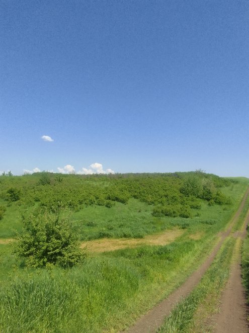 Прогулка в мае -  