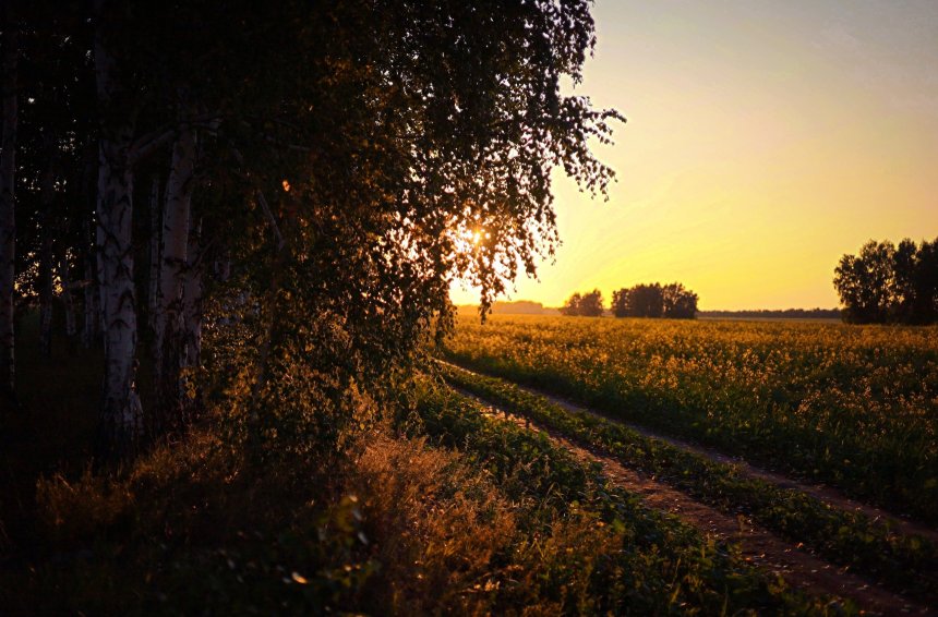 Русское поле в закате - Илья Медведев