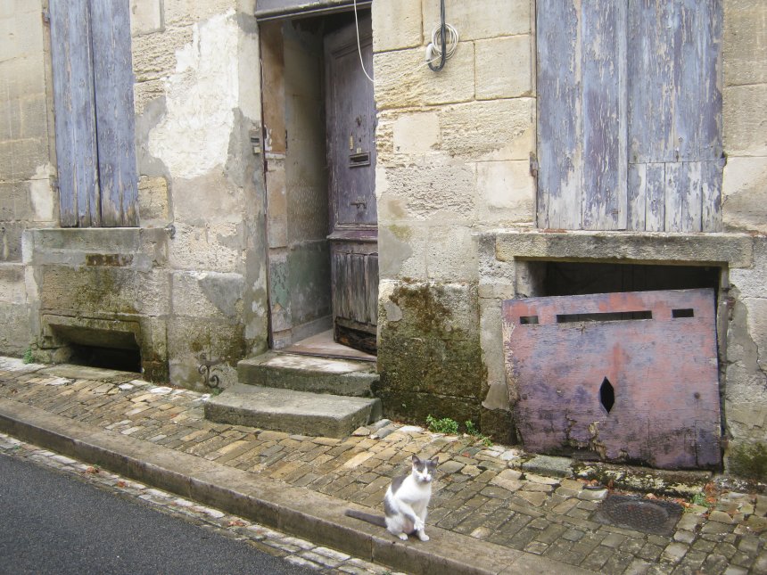 le chat de bourg (gironde, france) - Любовь Шарапова
