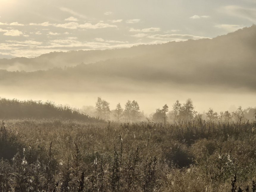 Туман - Виктория