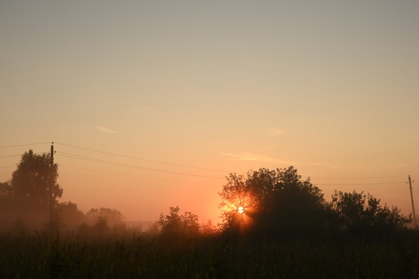 Пробуждение природы -  