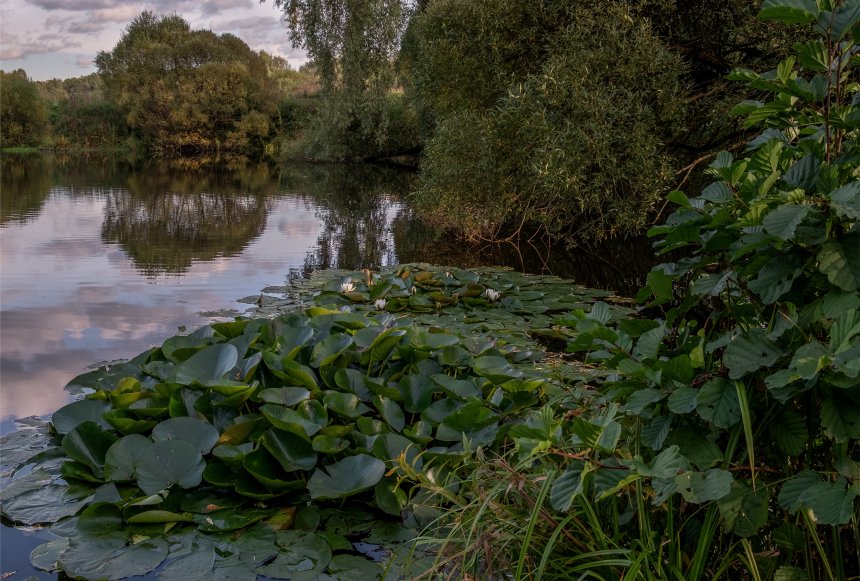 Закат в Измайлово -  