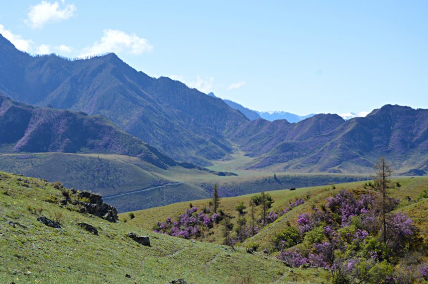 Через старый перевал -   (1/7)