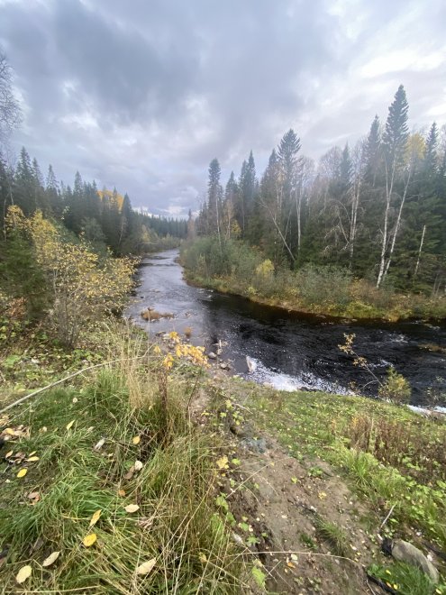 Осень на Русском Севере - Лилия