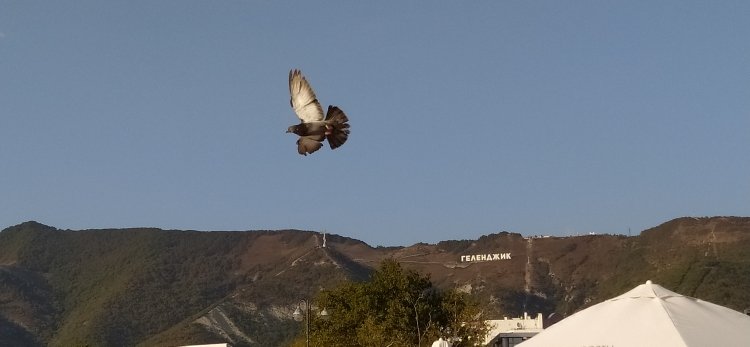 Приветствие, -  