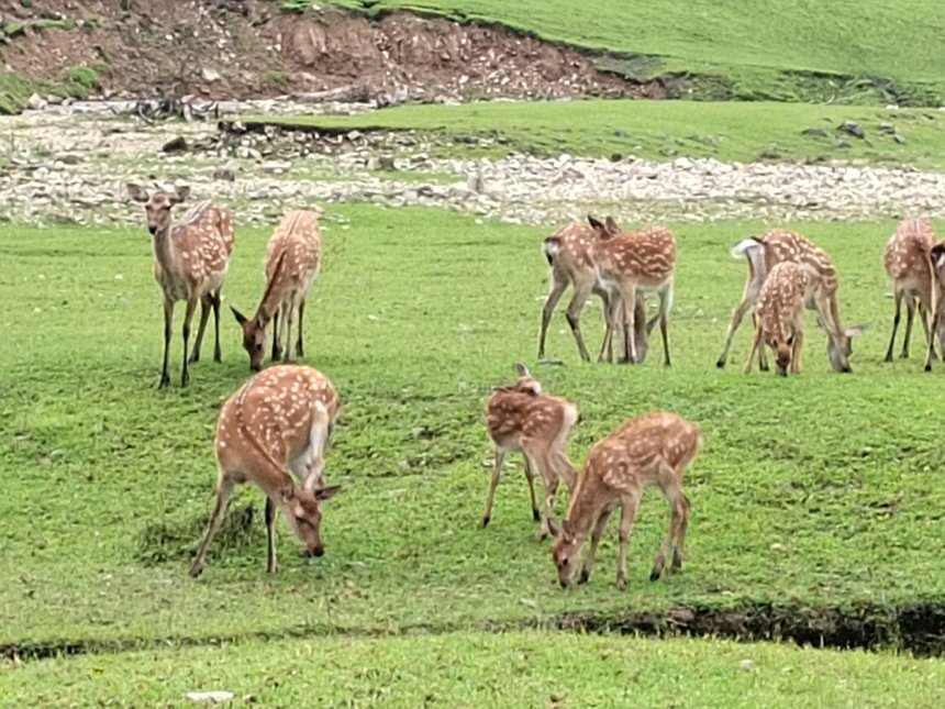 Путешествие по Хасанскому району - Елена (1/8)