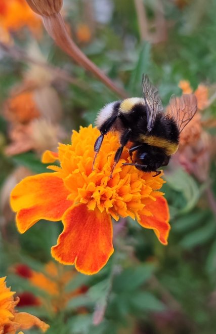 Ясный день - Ирина