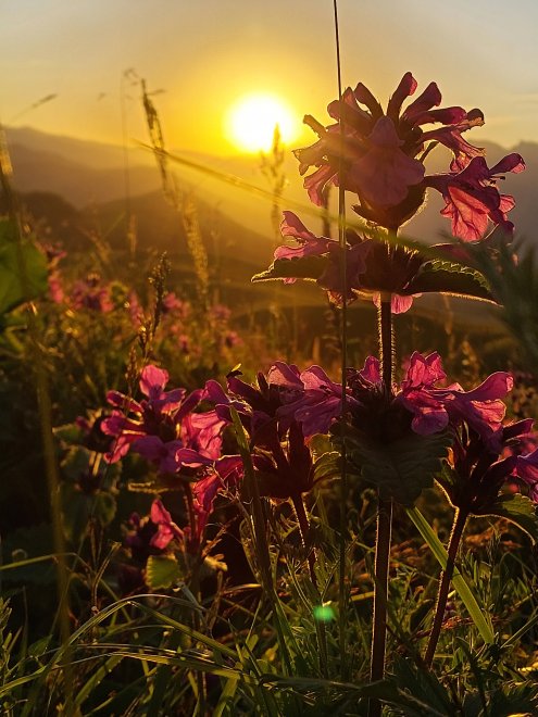 Сквозь последние лучи.. - Анна
