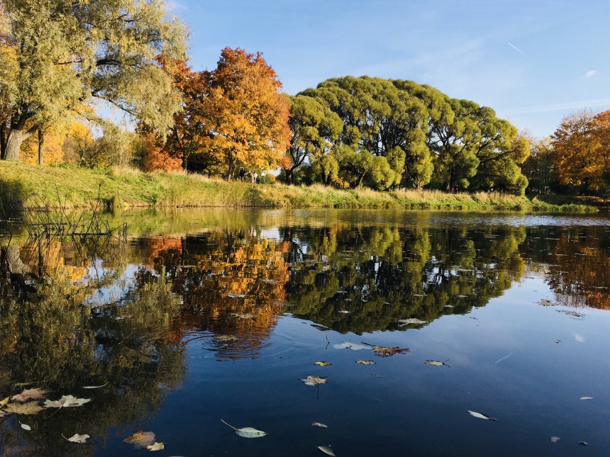 Осень Петербурга - Светлана
