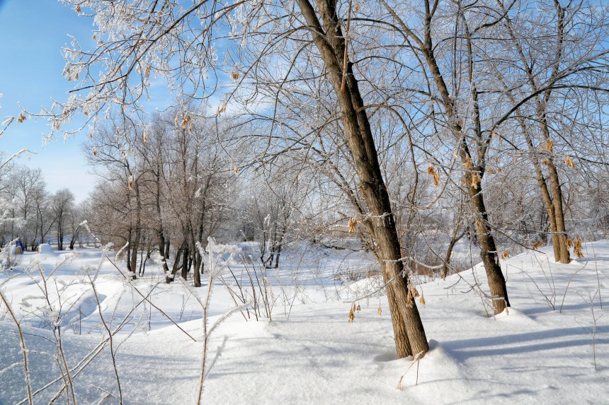 Зимняя колыбель. -  