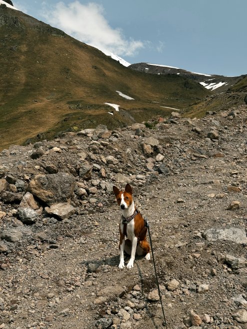 Трекинг к Обсерваторию Терскол - Татьяна Кузнецова (1/3)