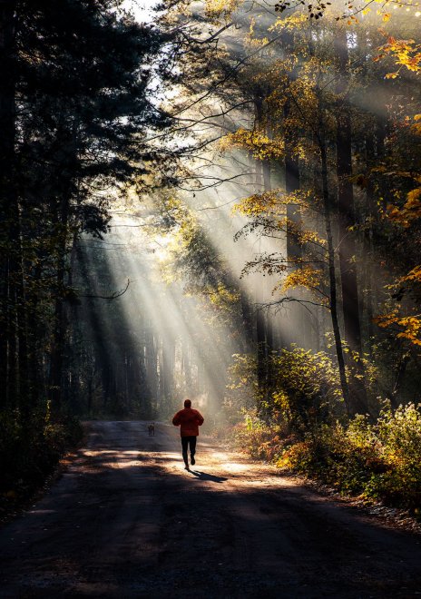 По дороге в утренний свет - Максим Смоляк (1/3)