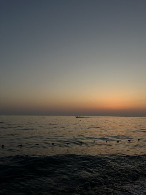 traveling with my family -   (1/7)