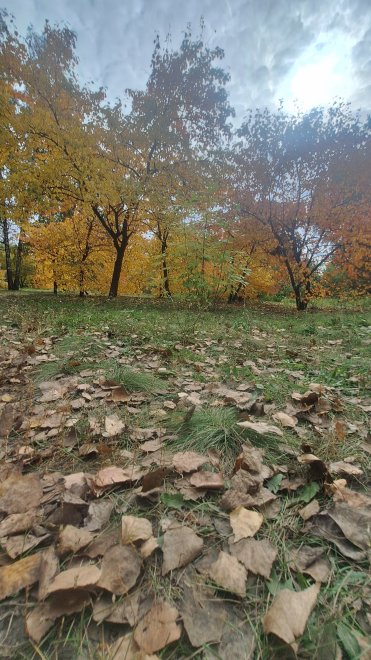 Моменты осени -   (1/4)