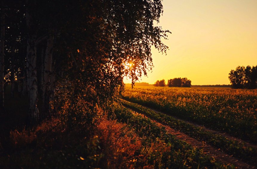 Русское поле в закате - Илья Медведев