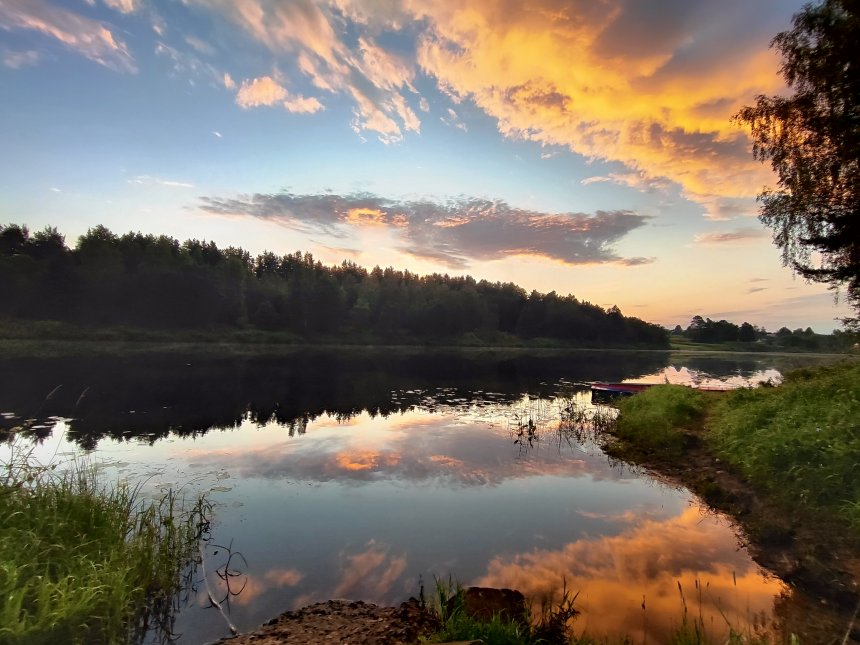 Крадущаяся в рассвете небесная кошка - Ольга Немогаева