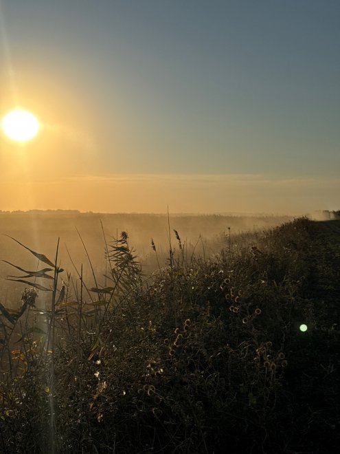 Мягкий пейзаж - Елизавета Клюшина