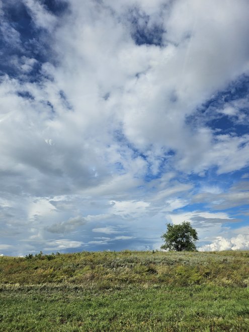 Небо-гжель - Шалдыбина Елена