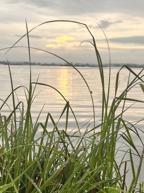 Микромир - Михаил