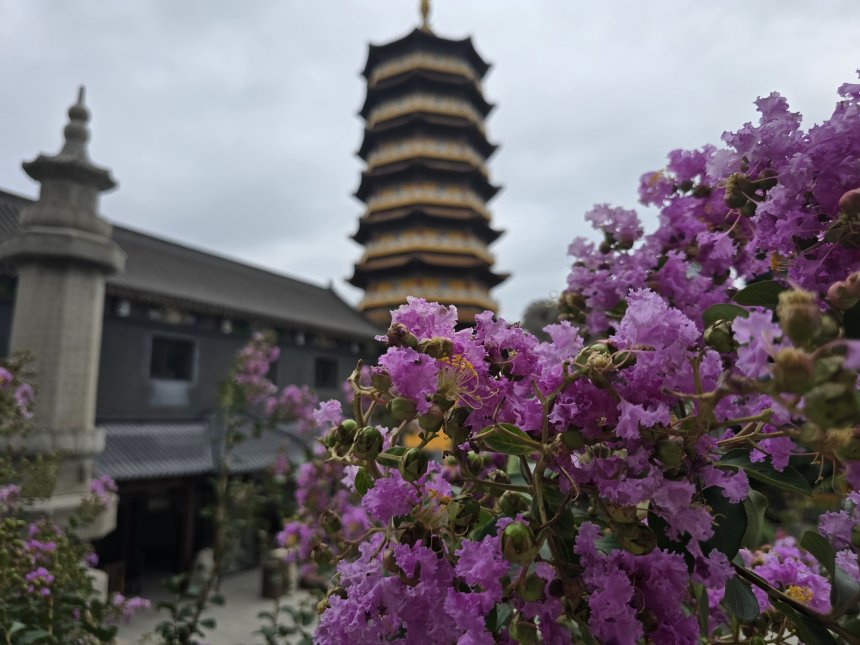 Цветы Китая - Кира