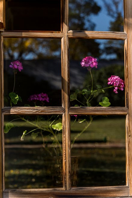 Выходной в Тарханах -   (1/5)