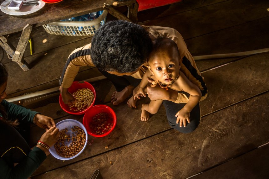 Жизнь на озере Тон Лесап - Эдуард Паравян