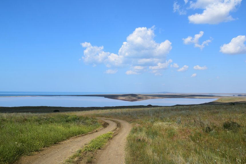 В Опукском заповеднике -   (1/8)