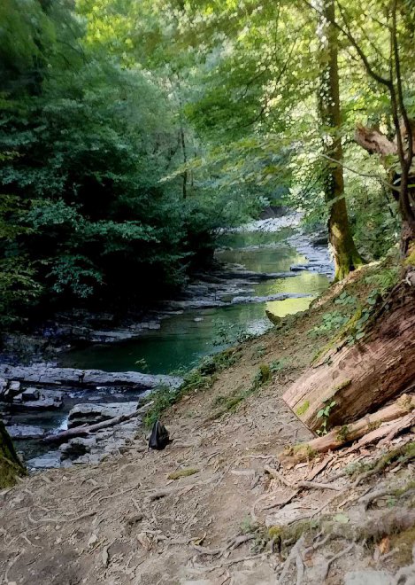 дорога -   (1/5)