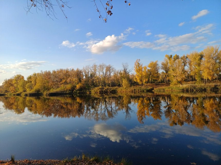 Золотая осень... - Марина Быченкова