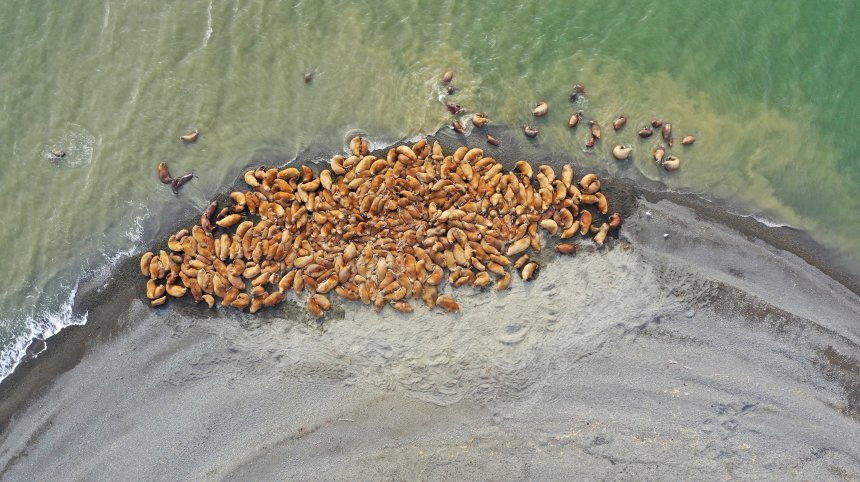 На краю света - Мирослав Бабушкин