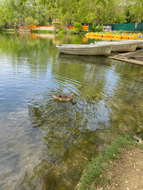 Волшебство природы - Алеся