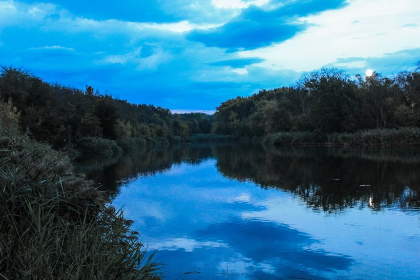 Тишина природы - Кира