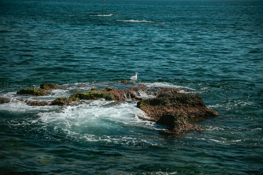 Поездка в турецкие горы -   (1/6)