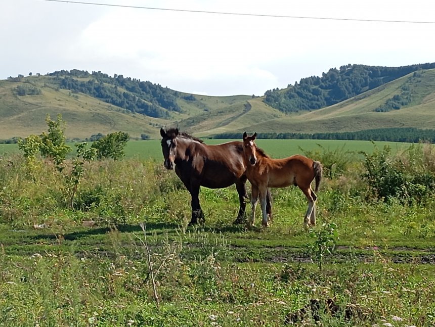 Жизнь прекрасна! - Светлана