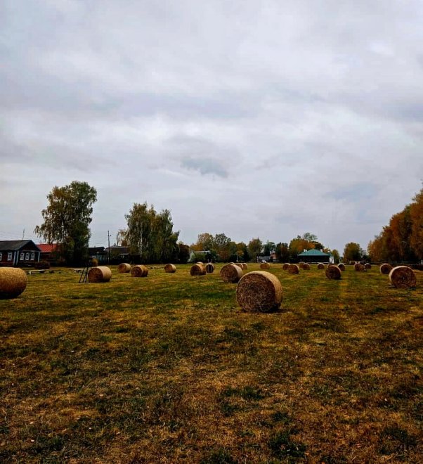 Осенний уют -  