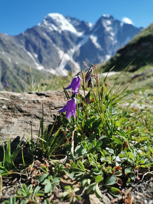 Ледник Семёрка - Екатерина Выборных